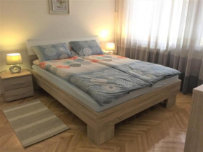 Apartment in the heart of the city